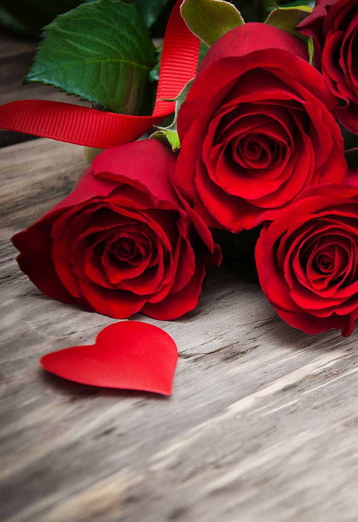 RED ROSES - Cori Hotels Group Shop